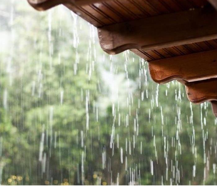 Excessive monsoon rains can cause mold growth