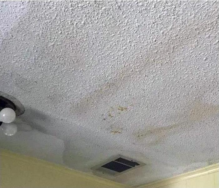 Mold and water stains in Phoenix home